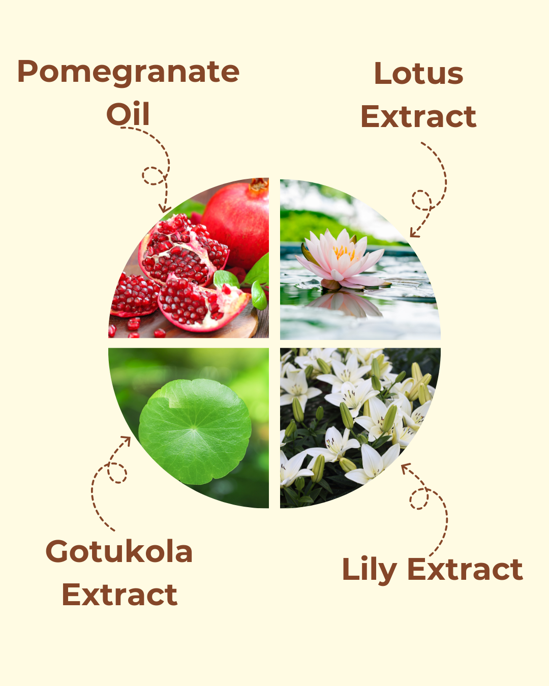 Pomegranate & Gotu Kola Night Repair Elixir