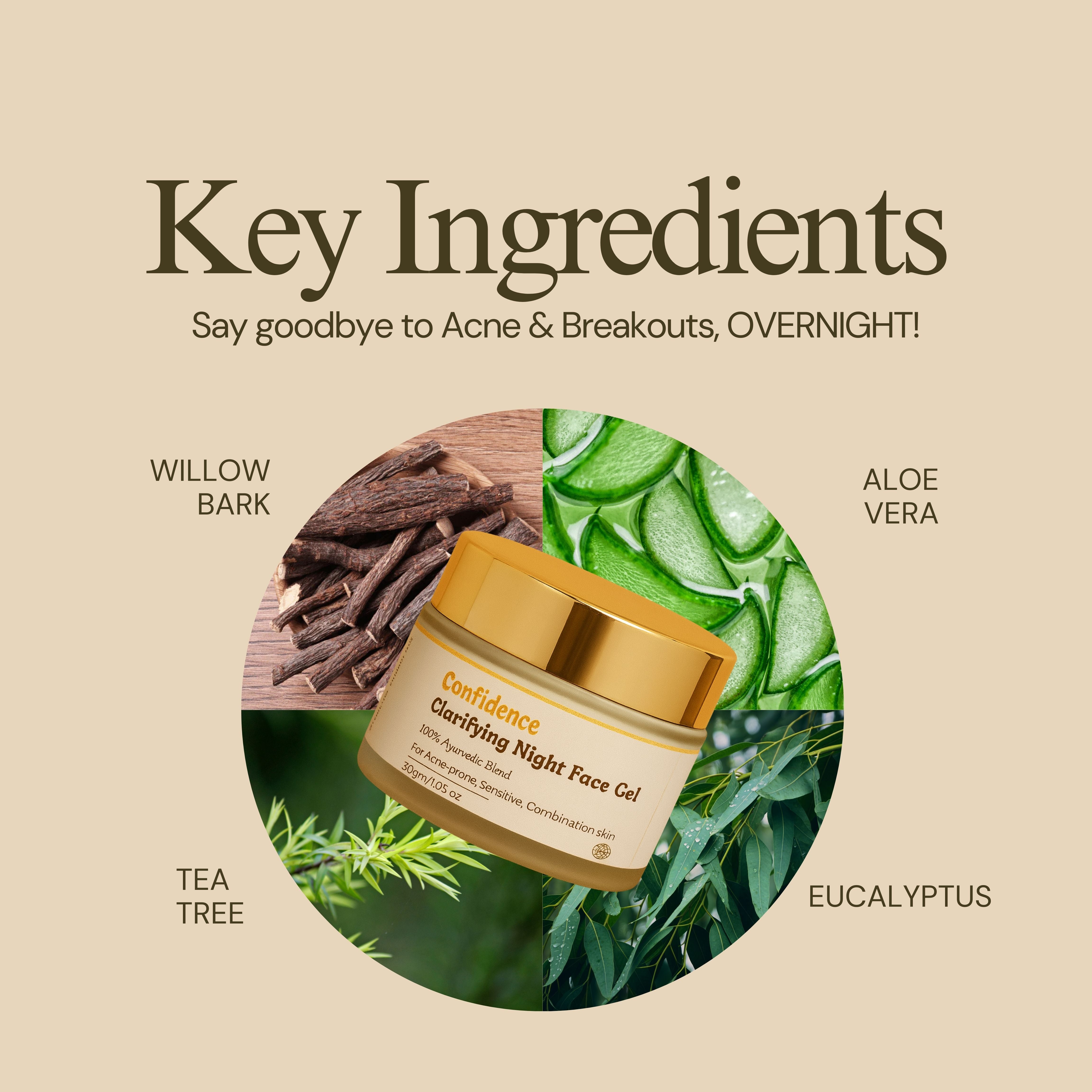 Confidence Night Gel natural ingredients - aloe vera salicylic acid botanicals