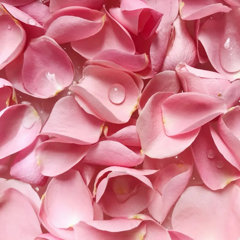 Rose Hydrosol