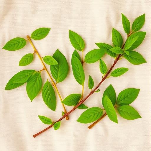 Bergamot Essential Oil