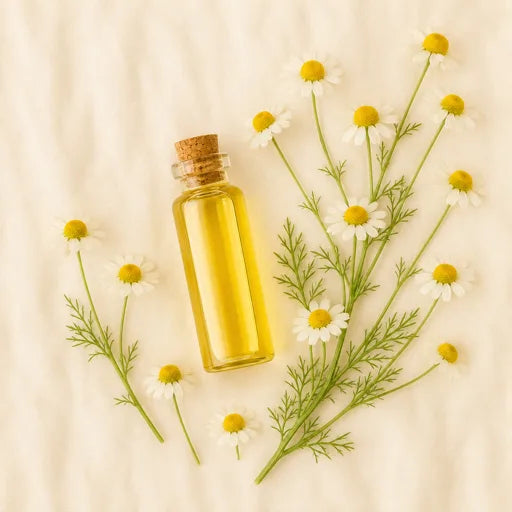 Chamomile Essential Oil